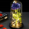 Світлова троянда в скляній декоративній лампі Užsisakykite Trendai.lt 56