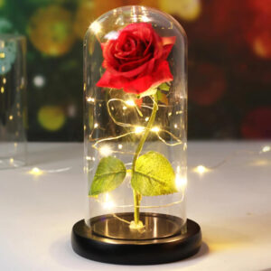 Світлова троянда в скляній декоративній лампі Užsisakykite Trendai.lt 29