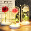 Світлова троянда в скляній декоративній лампі Užsisakykite Trendai.lt 48