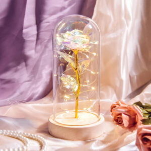 Світлова троянда в скляній декоративній лампі Užsisakykite Trendai.lt 30